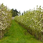 Altes Oste Mit Gruenkohltour & Bossel-wochenende Feriehus